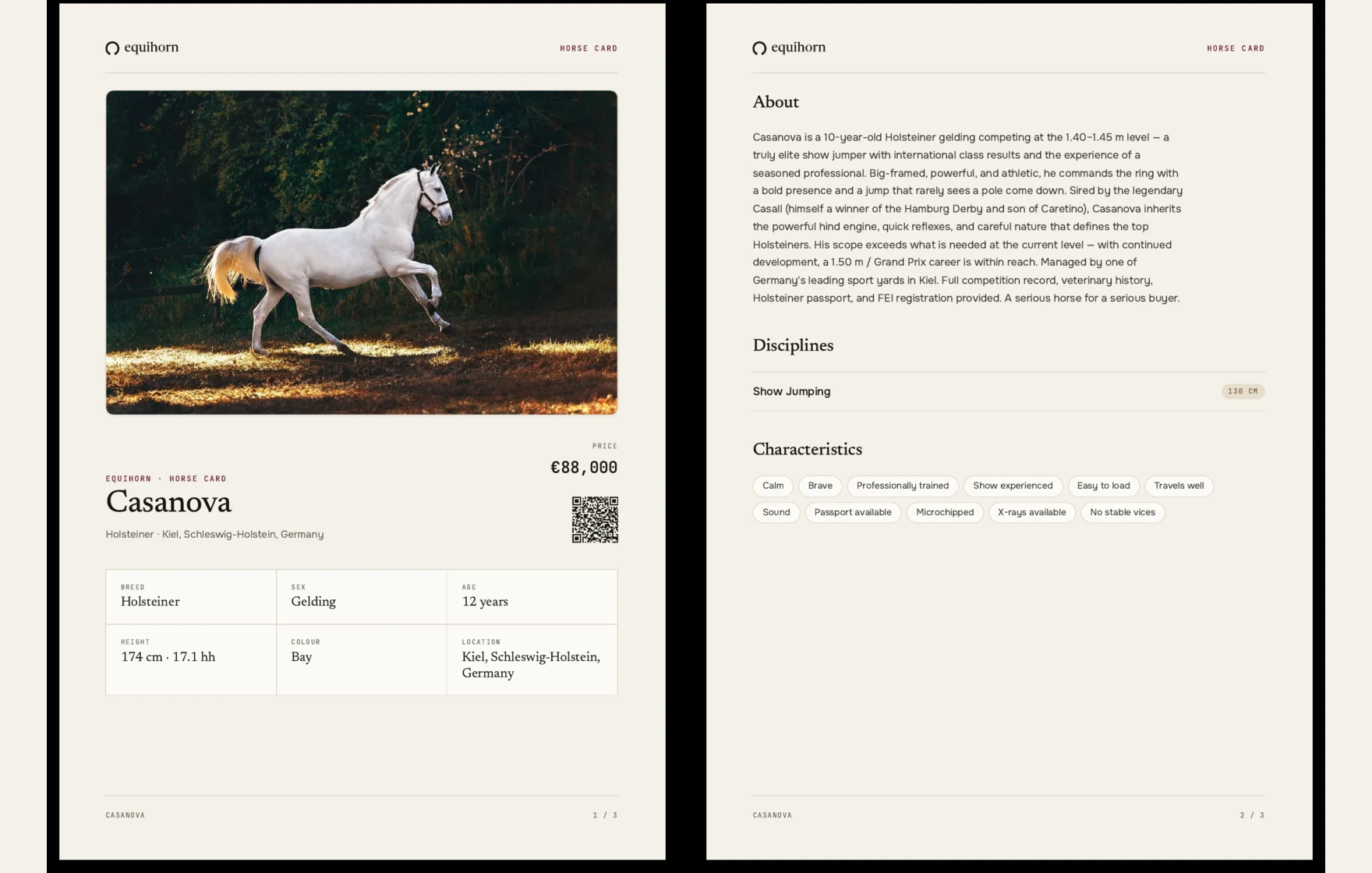 An Equihorn horse dossier PDF