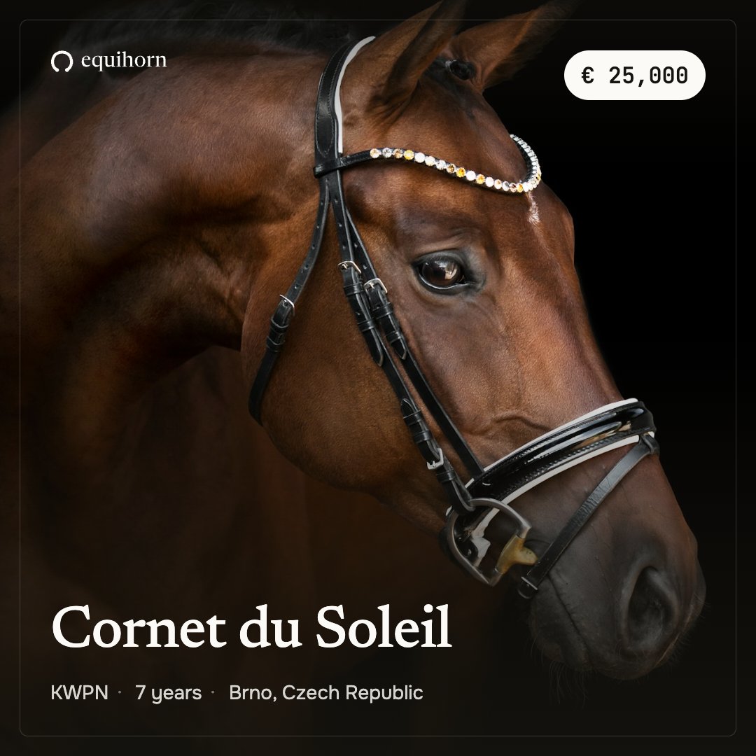 An example Equihorn social media graphic for a horse listing